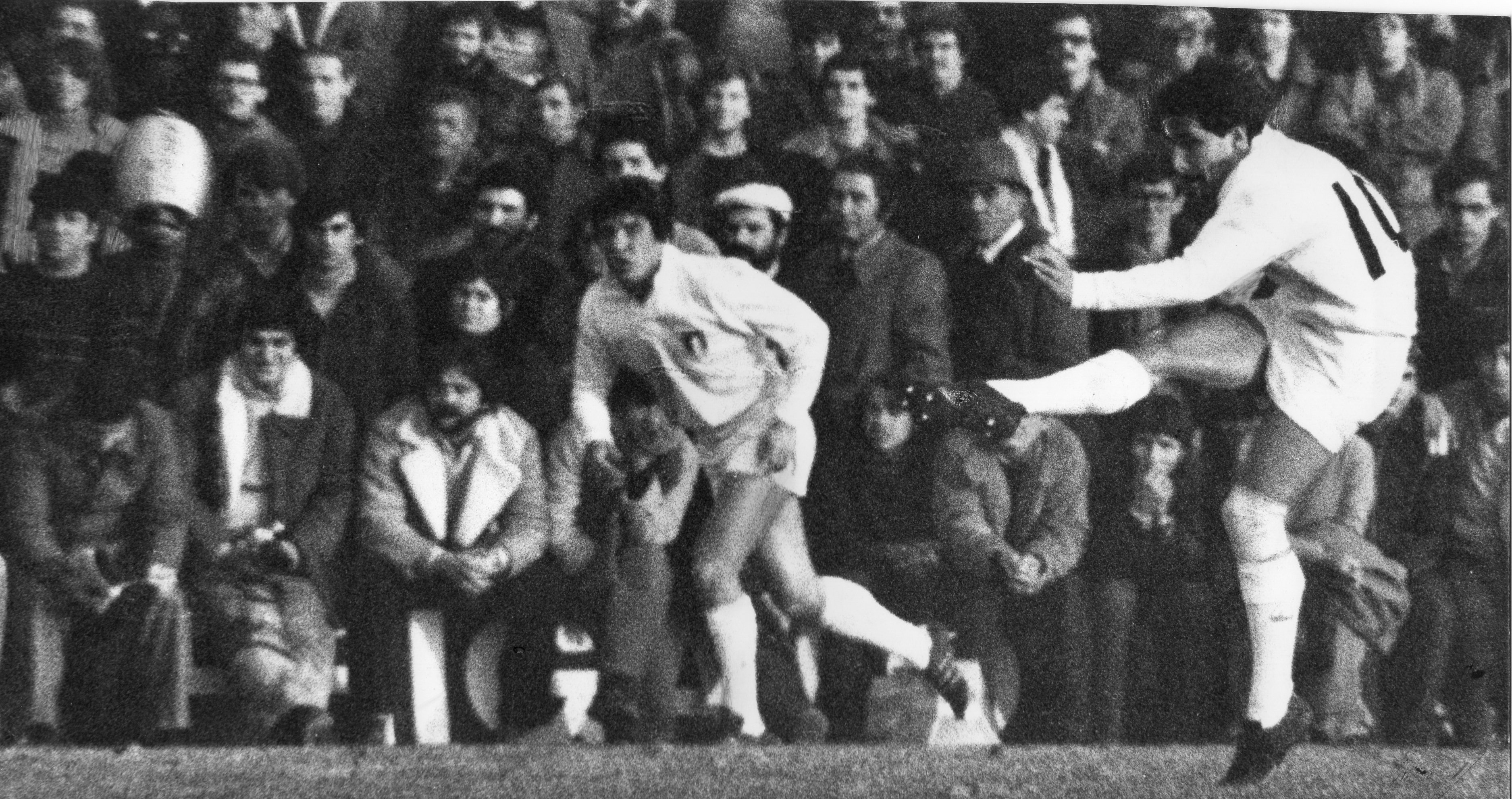 28 novembre 1979, stadio Mario Battaglini di Rovigo. Italia-All Blacks 12-18. Stefano Bettarello impegnato in un calcio di punizione.